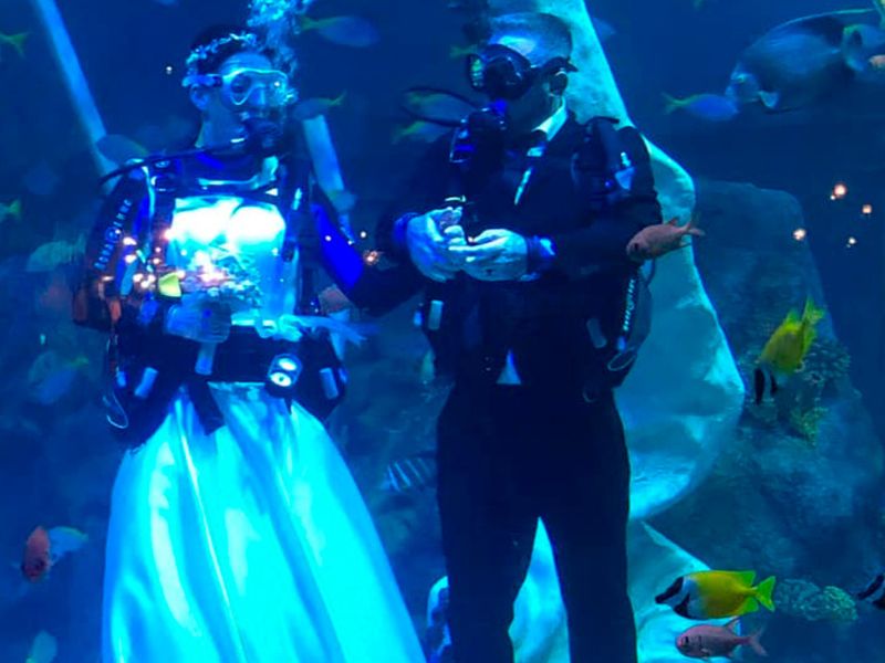 bodas temáticas de aventuras